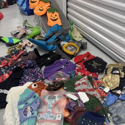 Dog Clothes, Bags, Coats, Costumes, Harnesses, Accessories, Ramp 