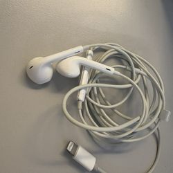 Apple Headphones 