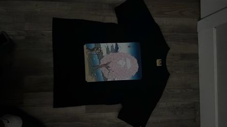 Bathing Ape (Bape) T-shirt