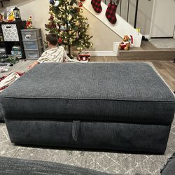 Living spaces Twilight storage ottoman 