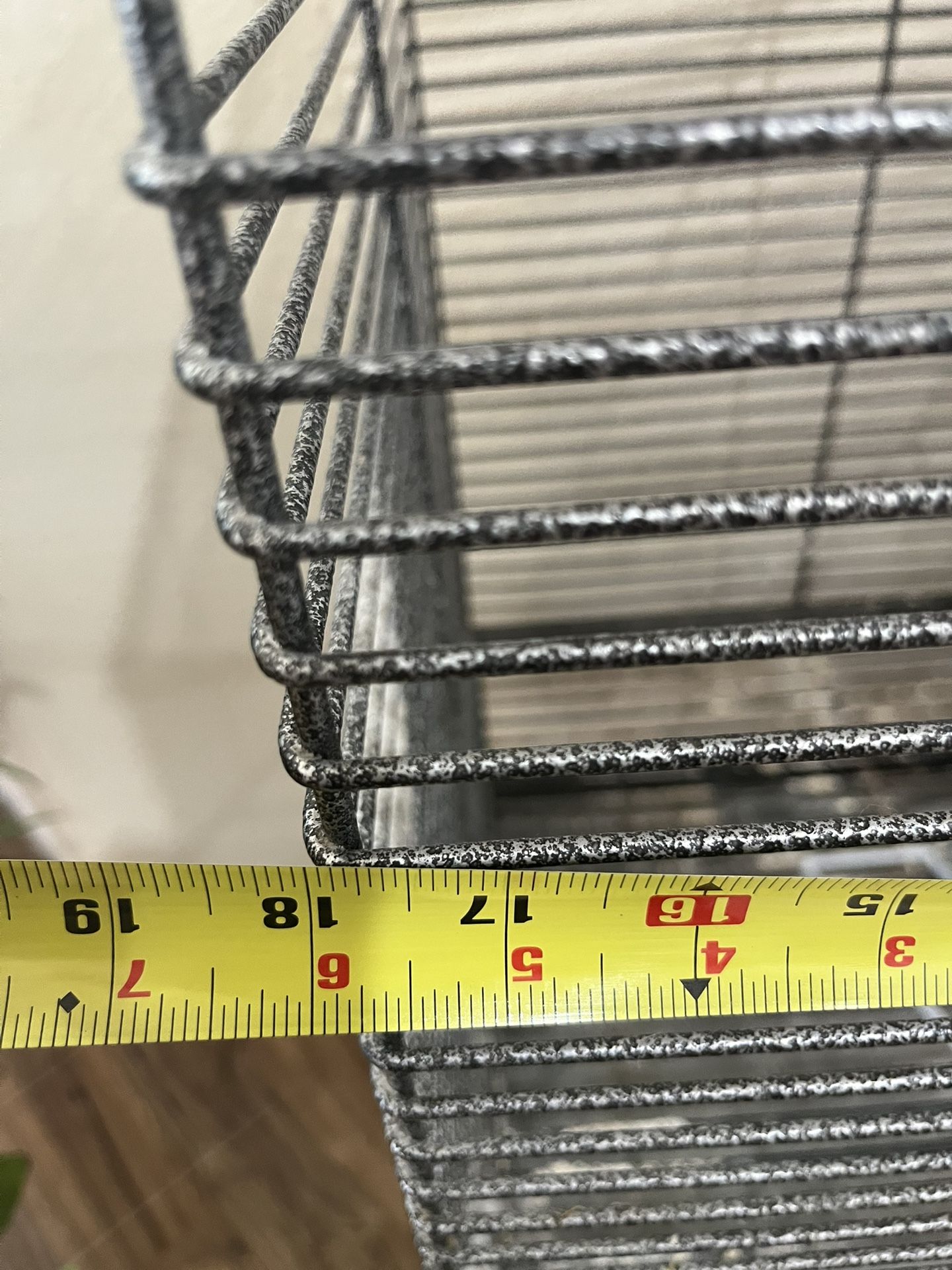 Bird Cage