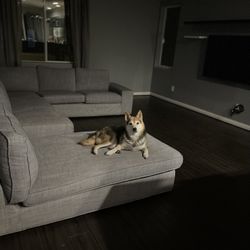 Grey Sectional 