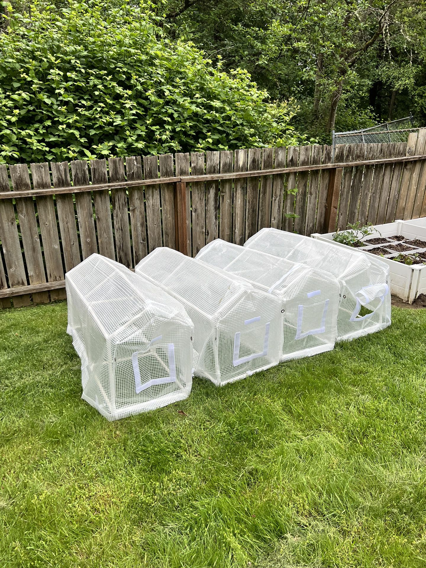 Easy-Install Outdoor Greenhouse - Uv Protection, Thick Pe/Pvc Material, Wind & Rainproof For Potted Plants