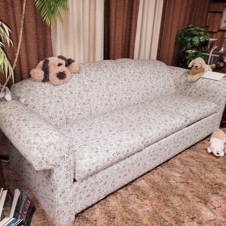 Sofa Bed $100 - MONDAY