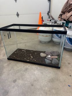 Turtle tank