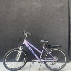 24” Schwinn Traverse Mountain Bike 