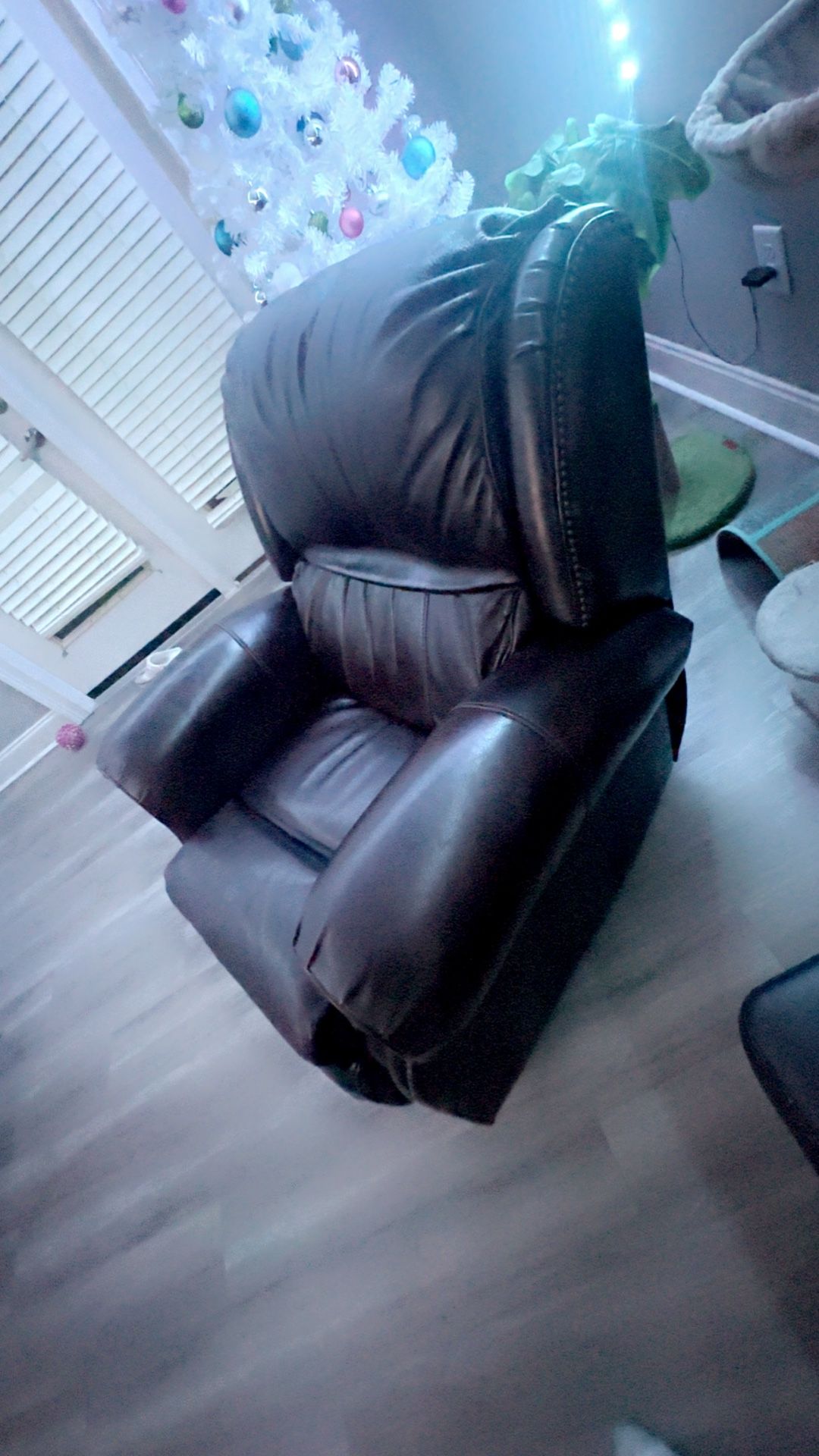 Leather recliner