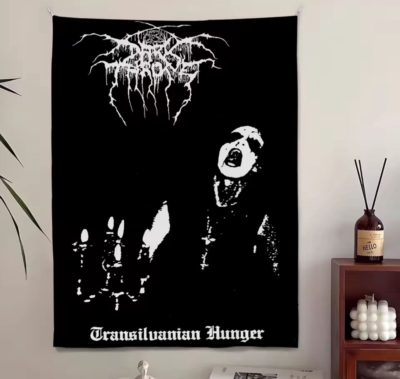 Darkthrone Fabric Banner (Transylvanian Hunger)