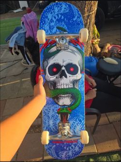 Powell Peralta Skull & Snake Blue stakeborad 8.25 x 31.95