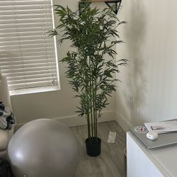 Fake Plant 