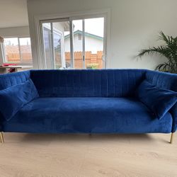 Blue Velvet Couch