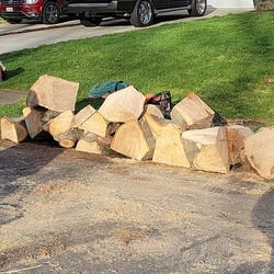 Free Firewood Oak 1016 A winged  foot  chesapeake