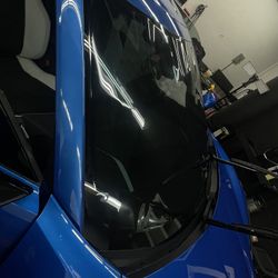 FasTint