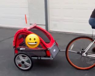 Bike buggy