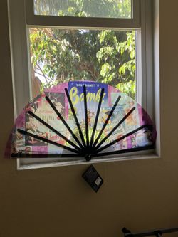 Disney fan