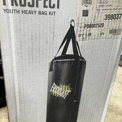 Youth Punching Bag - 40lbs