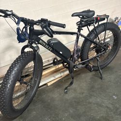 Electric Bike