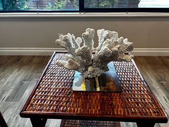 White Coral , 11 inch.