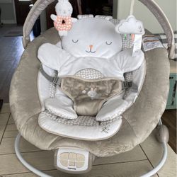 Baby Bouncer /read Description