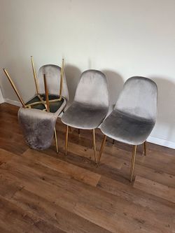 Gray Gold Modern Velvet Dining Chairs