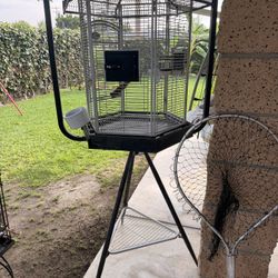 Bird Cage