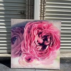 Rose Contemporary Painting 