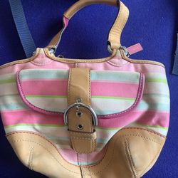 Coach Hand Purse (small)