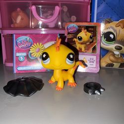 Littlest pet shop