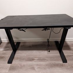 Electric Adjustable Standing Desk - $100