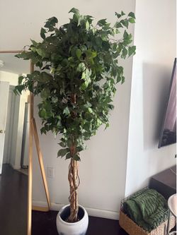 Large Artificial Ficus Tree with Decorative Planter