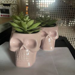 Pink Ceramic Skeleton Planters 