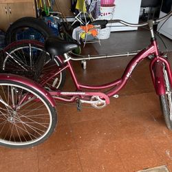 AdultTricycle Schwinn