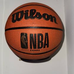 Wilson NBA Basketball 
