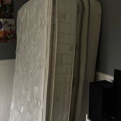 Two Twin Mattresses
