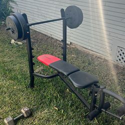 Weight Bench