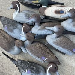 10 Vintage Duck Decoys