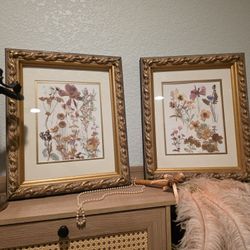 Set of 2 Vintage Framed Pressed Flower Botanical Art