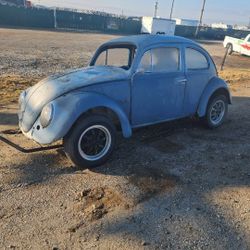 2vw Bugs  63 Project 67 Ready To Drive