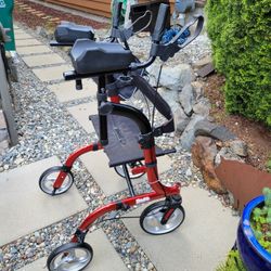 Tall Style Walker  W/Handles Up High***PENDING PICKUP  For "C")