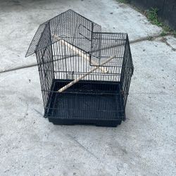 Bird Cage 