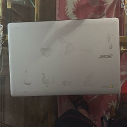 Acer Chromebook 315