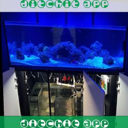 resource play Large Aquarium Tank - Roomy & Beautiful