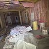 INSULATION   MONKEYS - Save $$