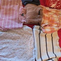 Group of girls' clothing sizes 12 to 14