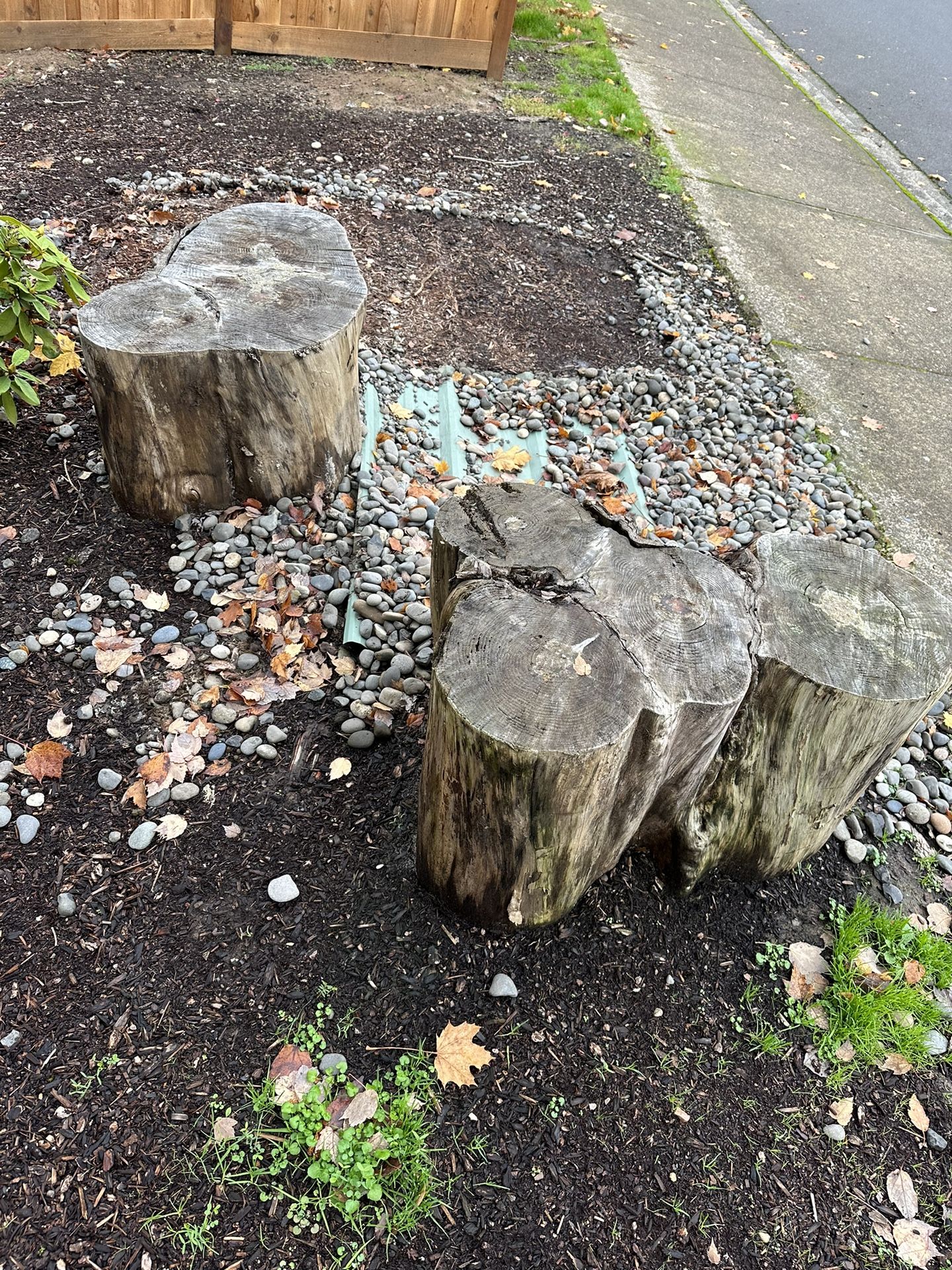 Free Firewood