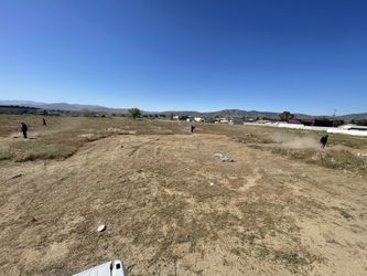 PROPERTY WEED CARE