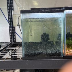 10 Gallon Fish Tank