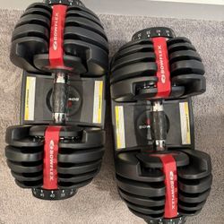 Bowflex Select-tec Dunbells