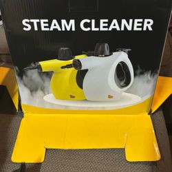 steamer for house
