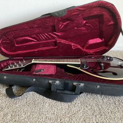 Electric Mandolin